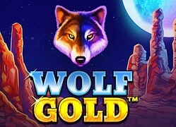 Wolf G Casino Game  GetSlots Casino Online Canada