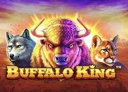Buffalo King Casino Slot  GetSlots Casino Online Canada
