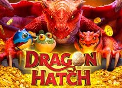 Dragon Hatch Casino Game  GetSlots Casino Online Canada
