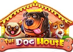 Dog House Casino Game  GetSlots Casino Online Canada